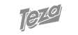 Teza